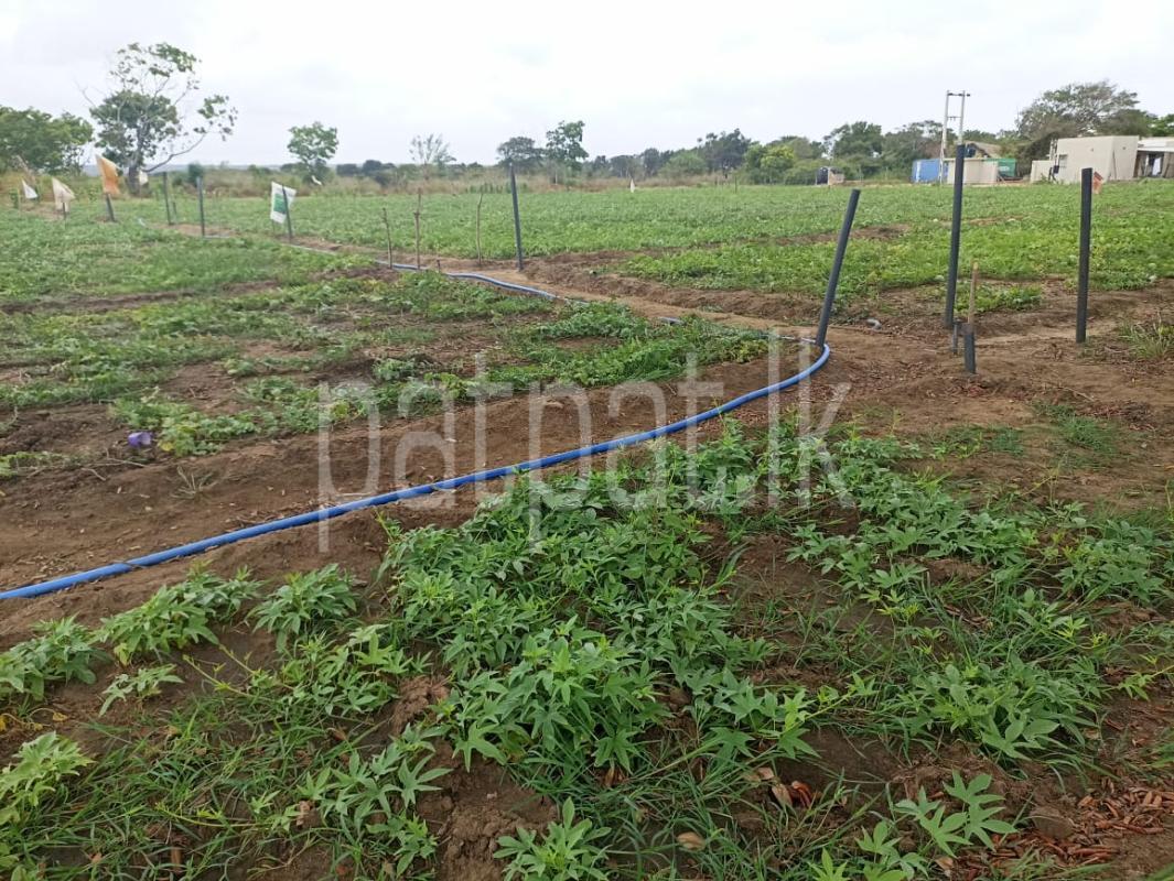 premium-listing-image