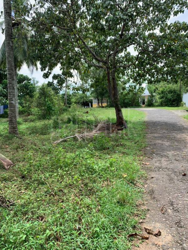 Residential Land for Sale in Homagama