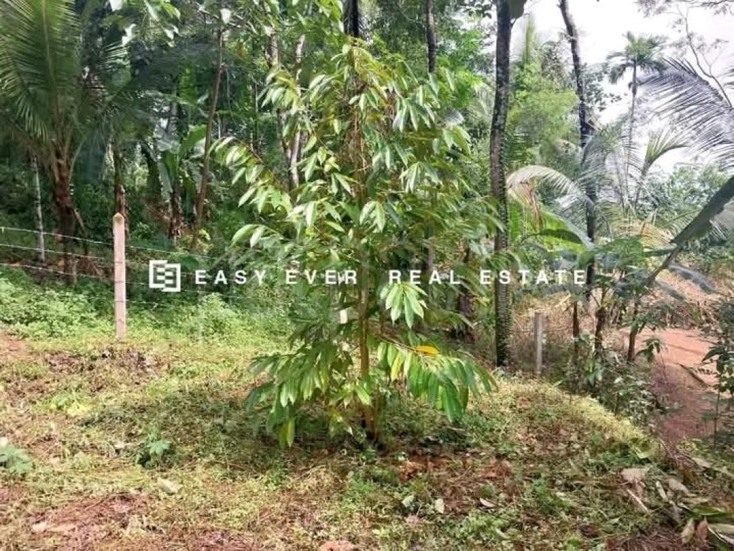 Commercial Land for Sale in Nittambuwa