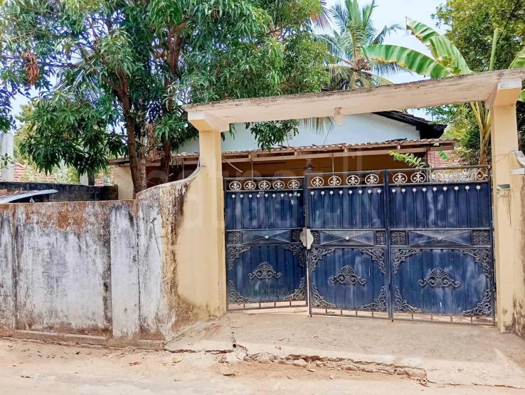 premium-listing-image