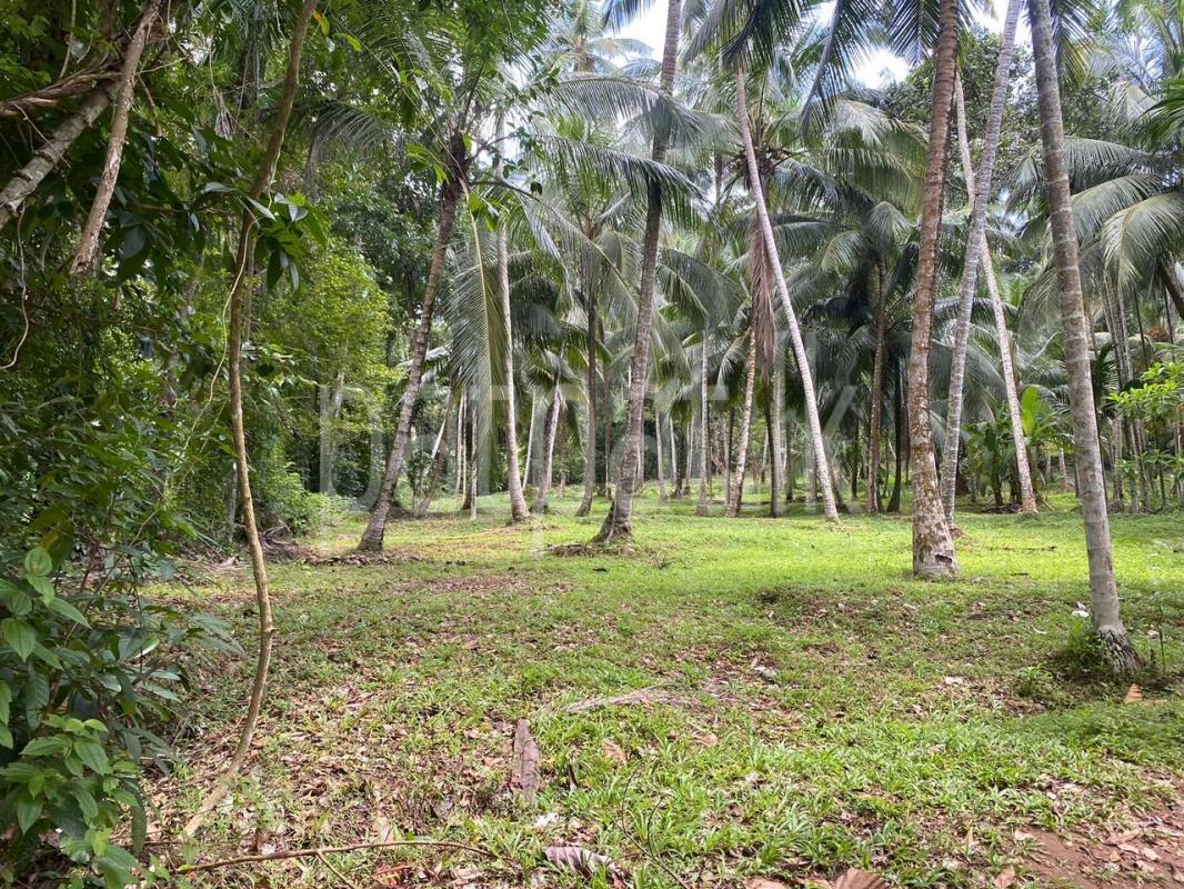 Residential Land for Sale in Delgoda ads-image-1