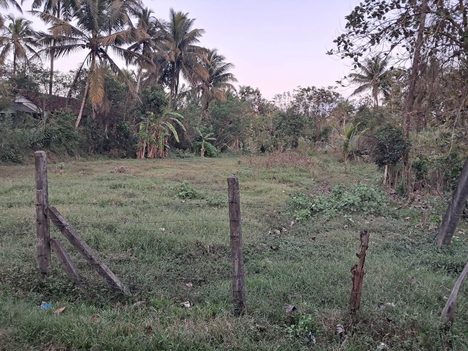 Residential Land for Sale in Hettipola