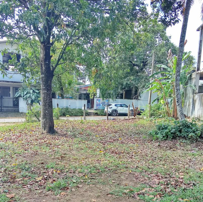 Residential Land for Sale in Weliveriya ads-image-1