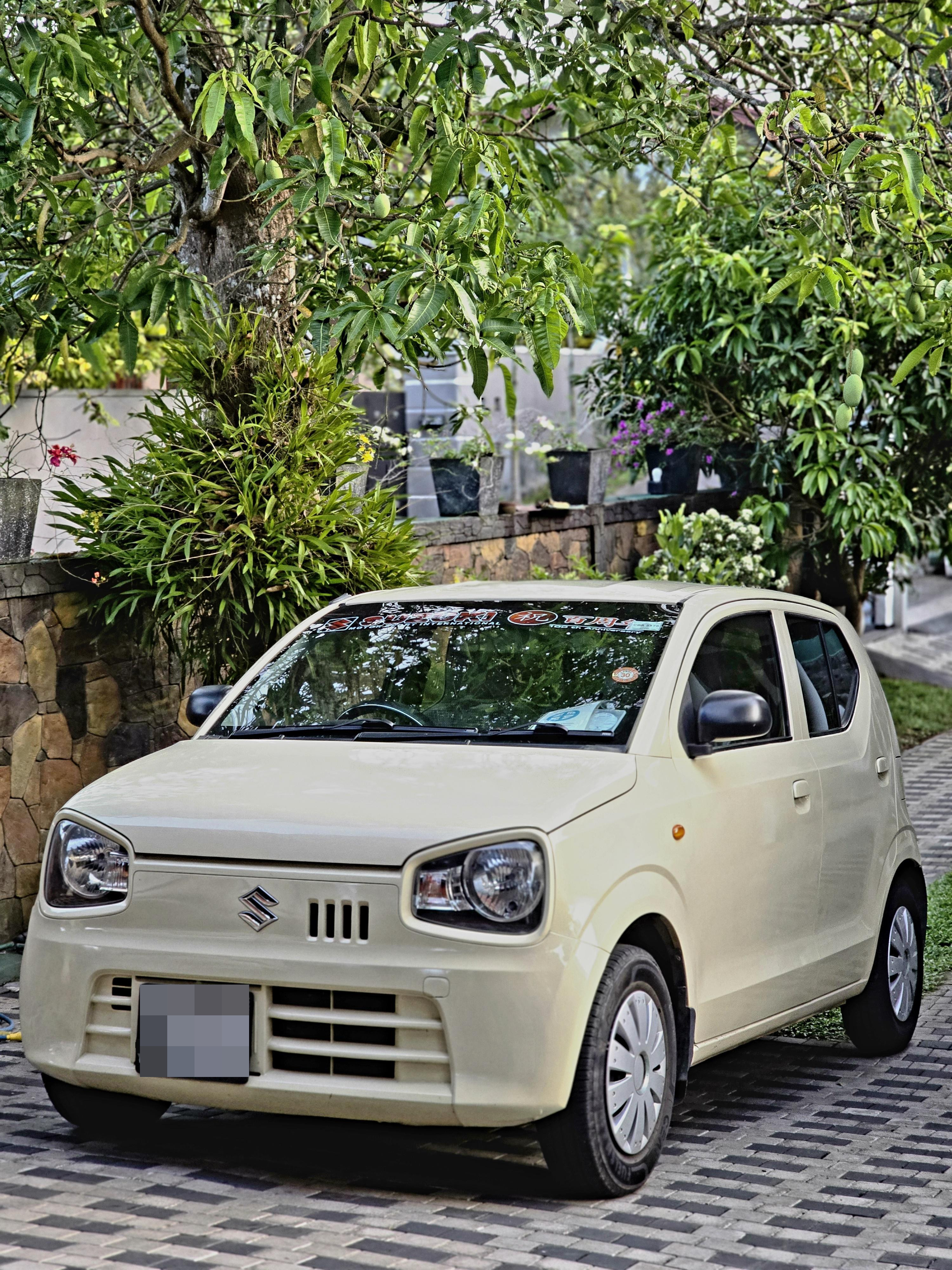 Suzuki Alto 2017 - Used Car sale in Sri Lanka - patpat.lk