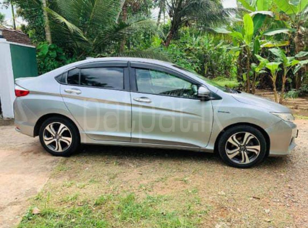 Advertisement image 4