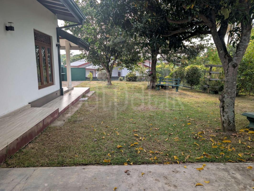 House for Sale in Beruwala ads-image-1