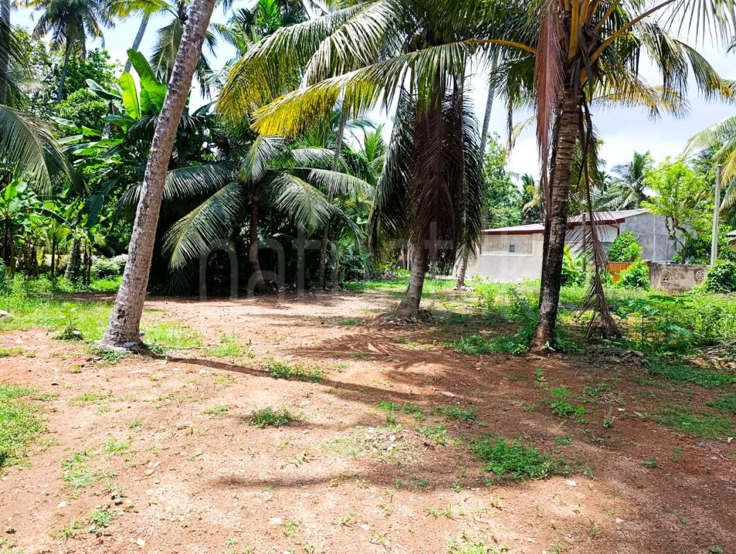 Residential Land for Sale in Ragama