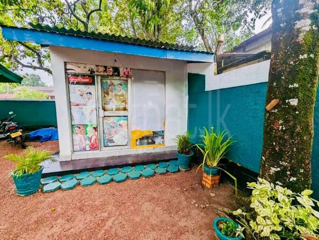 Advertisement image 1