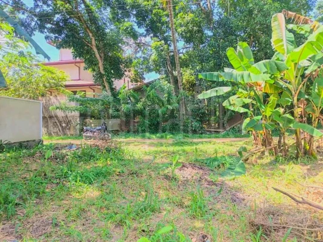 Commercial Land for Sale in Veyangoda
