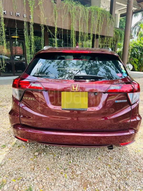 Advertisement image 4