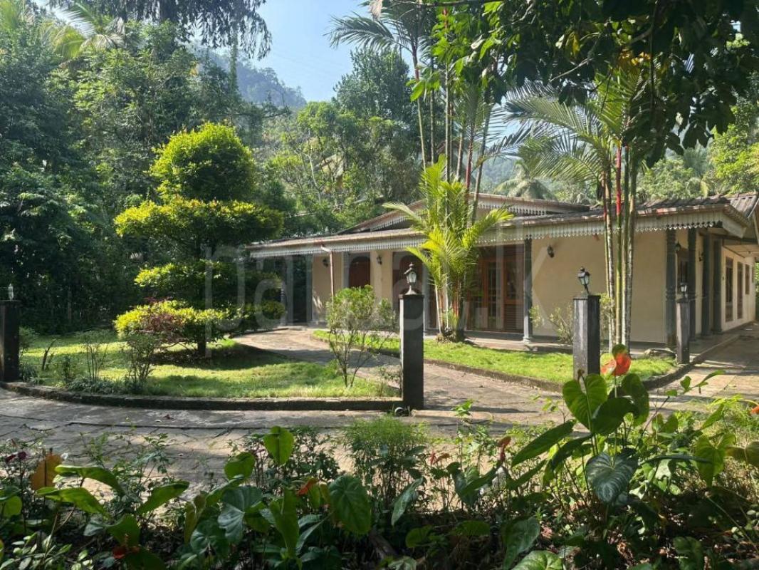 House for Sale in Nawalapitiya ads-image-1