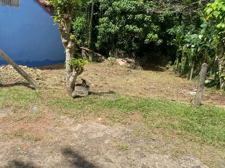 Commercial Land for Sale in Talawatugoda