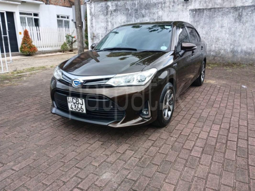 Advertisement image 6