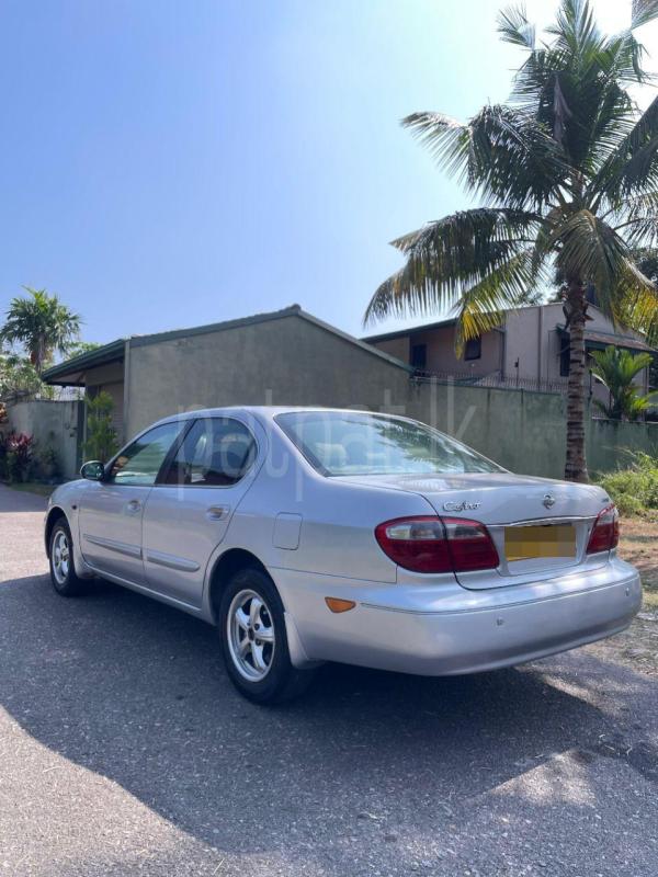 Advertisement image 6