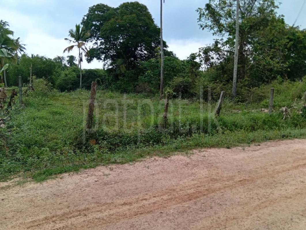 Residential Land for Sale in Kurunegala