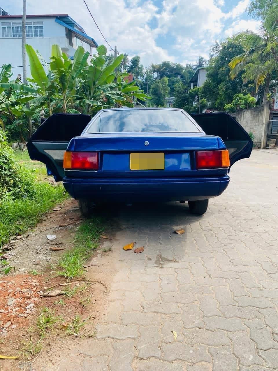 Advertisement image 1