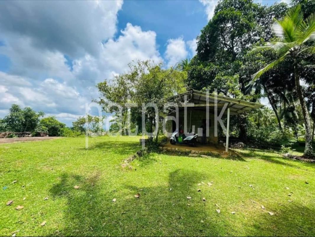 Advertisement image 5