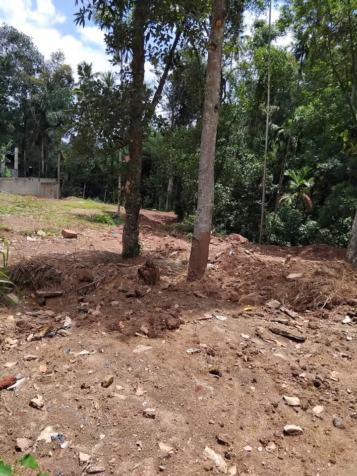 Agricultural Land for Sale in Gurudeniya ads-image-1