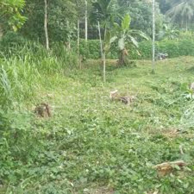 Residential Land for Sale in Kottawa