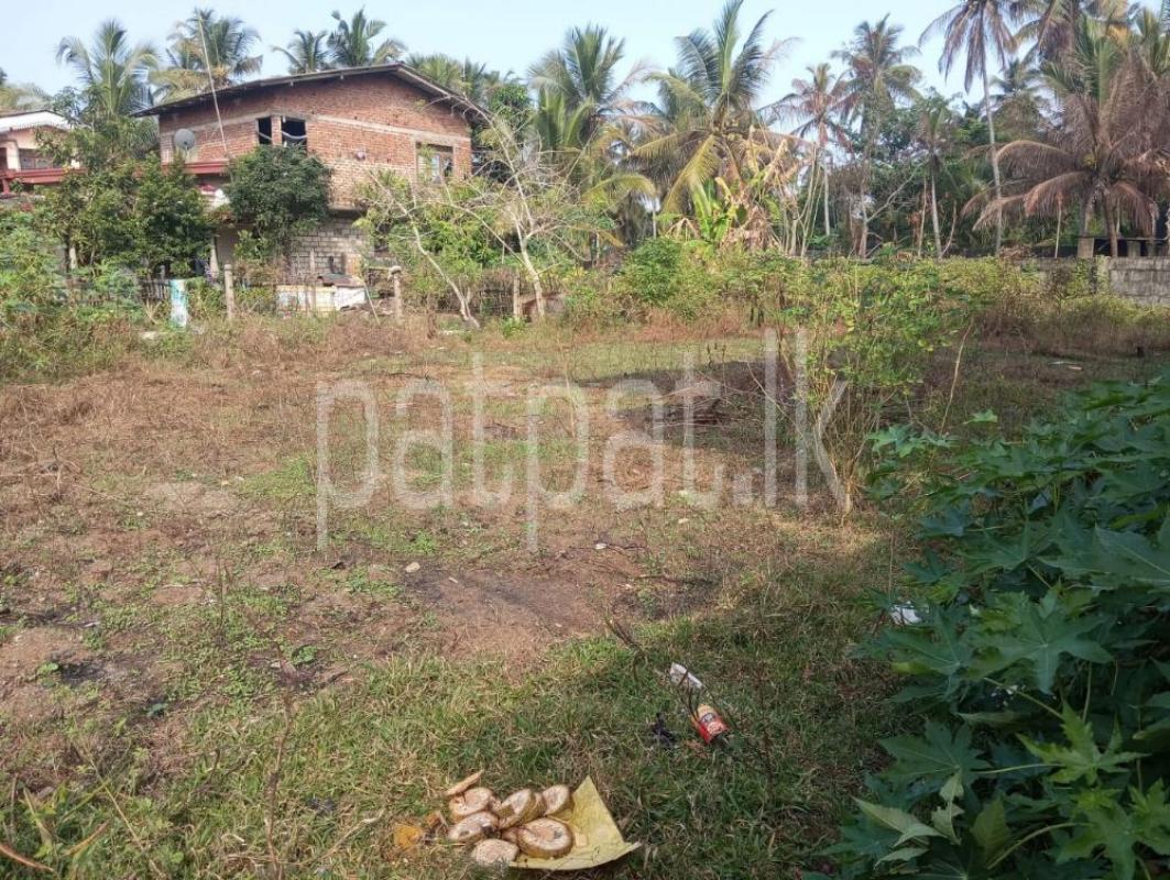 Advertisement image 6