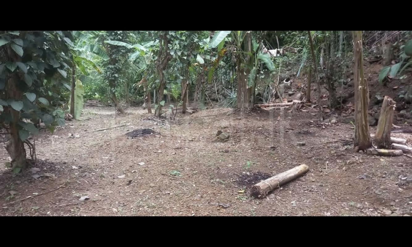 Agricultural Land for Sale in Wanchawela ads-image-1