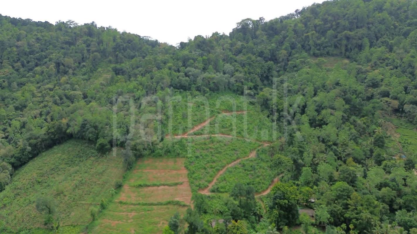 Agricultural Land for Sale in Deraniyagala