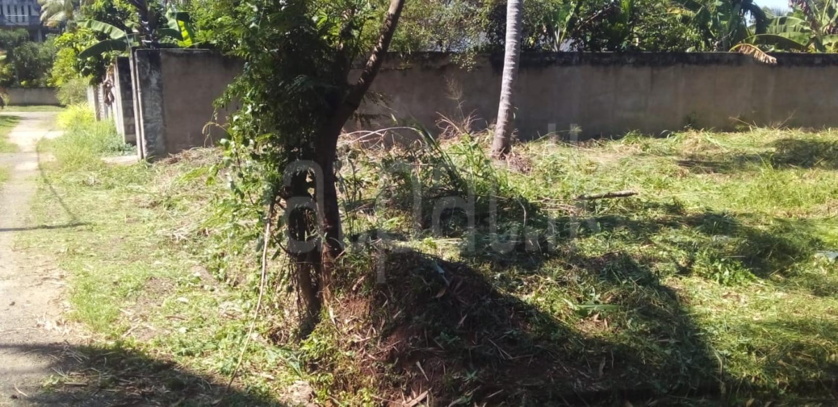 Residential Land for Sale in Uhumiya ads-image-1