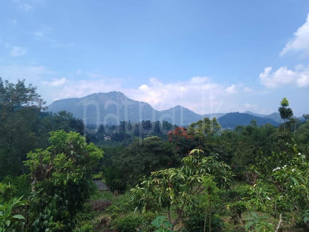 House for Rent in Gampola ads-image-1