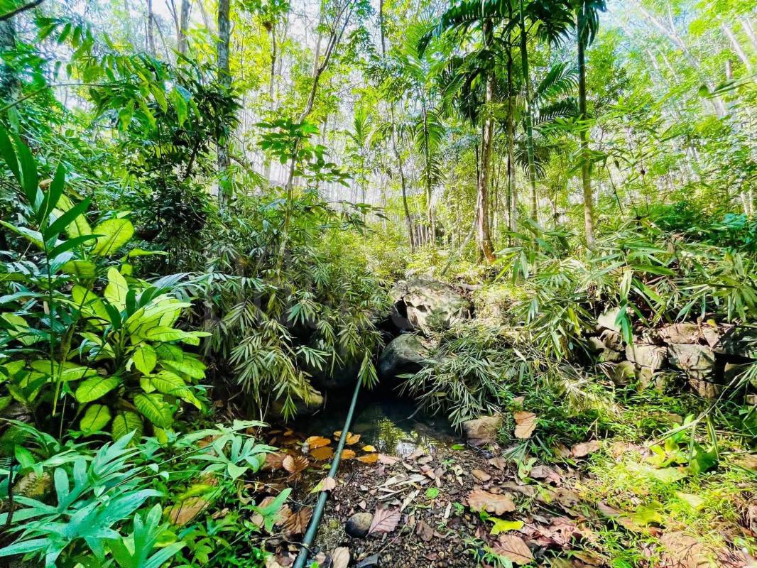 Commercial Land for Sale in Nittambuwa