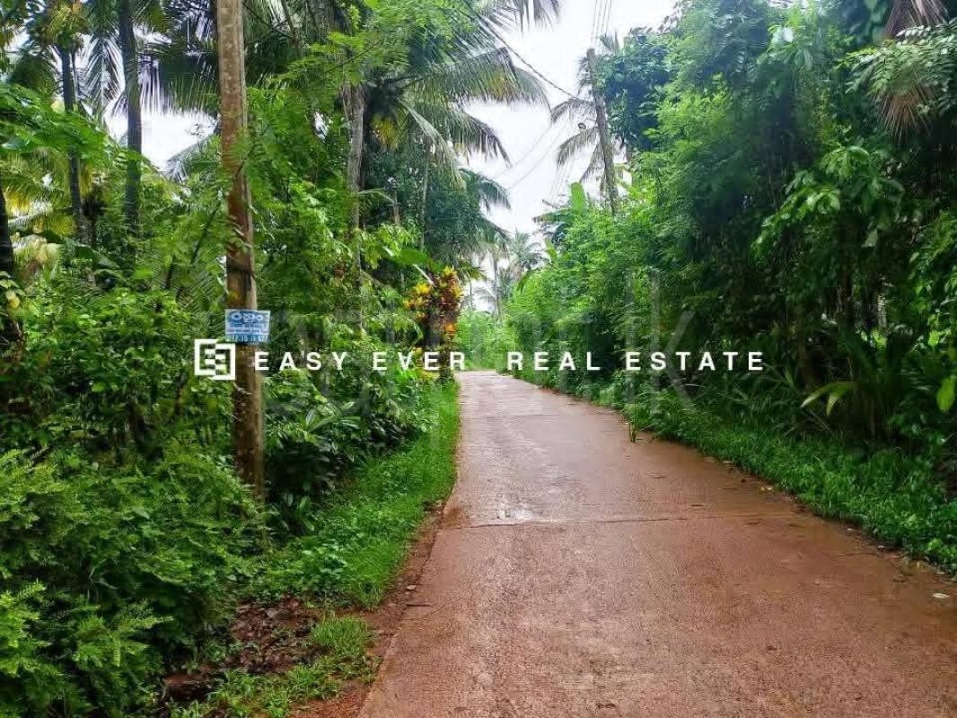 Residential Land for Sale in Divulapitiya