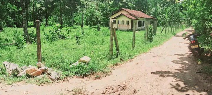 Agricultural Land for Sale in Kurunegala