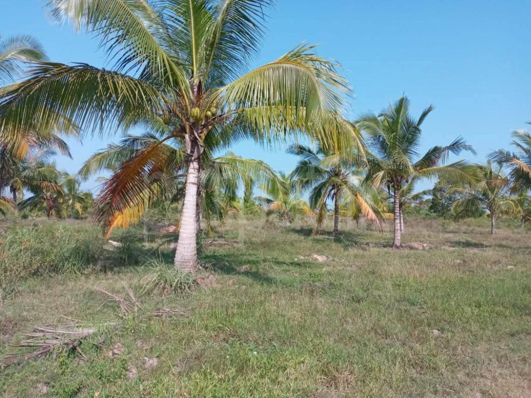Agricultural Land for Sale in Madurankuliya