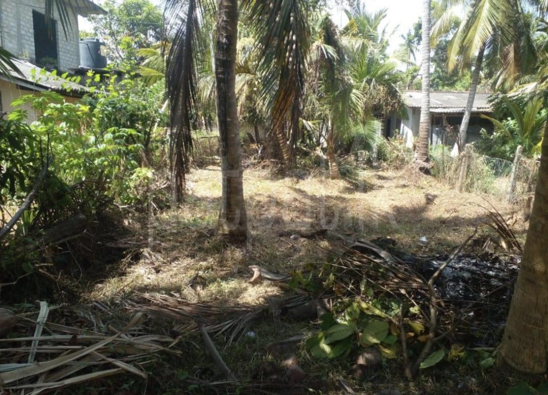 Commercial Land for Sale in Kundasale