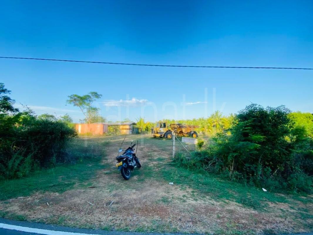 Advertisement image 1