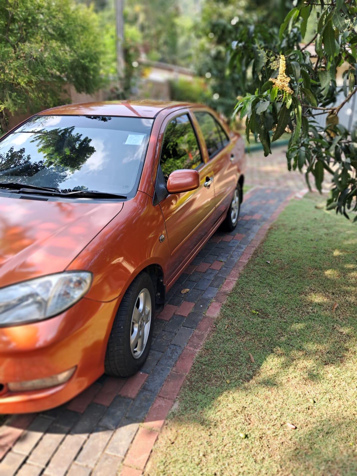 Toyota Vios 2003 - Used Car sale in Sri Lanka - patpat.lk
