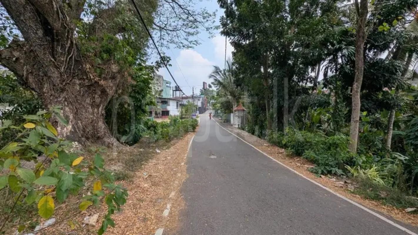 Commercial Land for Sale in Minuwangoda