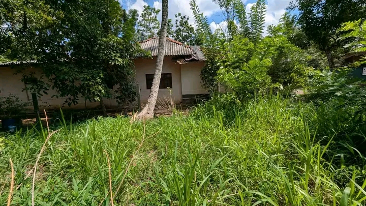 Commercial Land for Sale in Gampaha