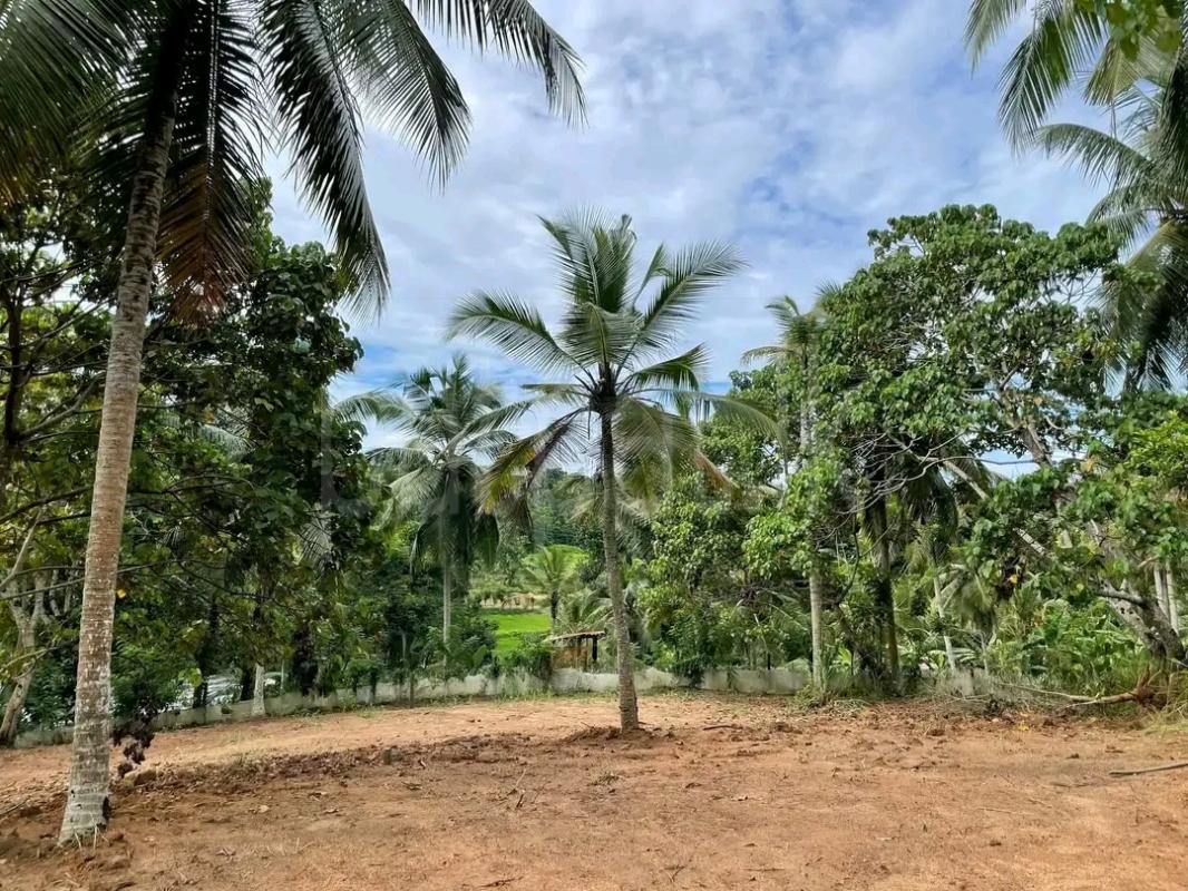Residential Land for Sale in Weligama