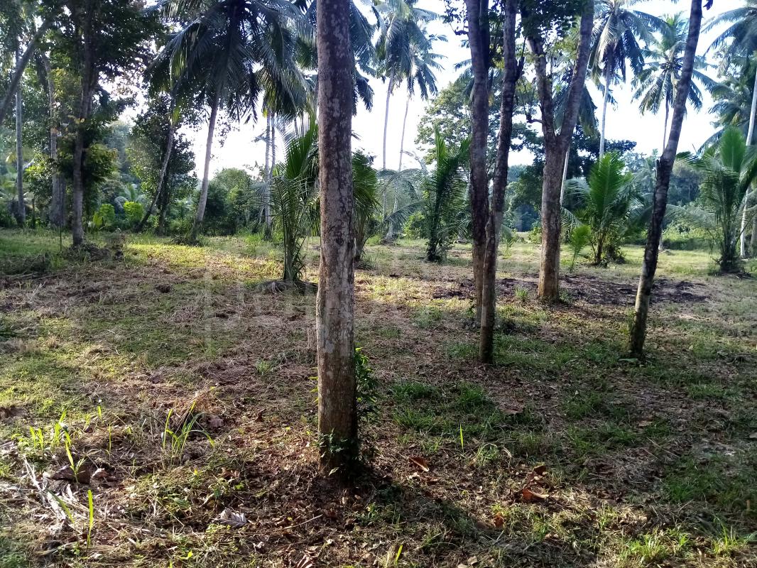 House for Sale in Divulapitiya