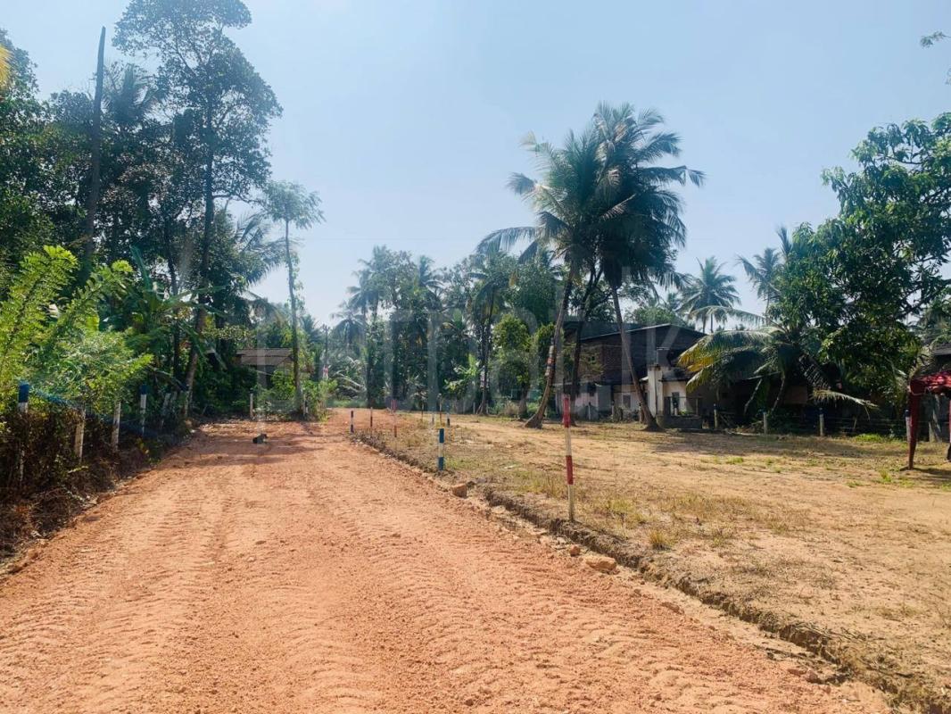 Residential Land for Sale in Pothuhera
