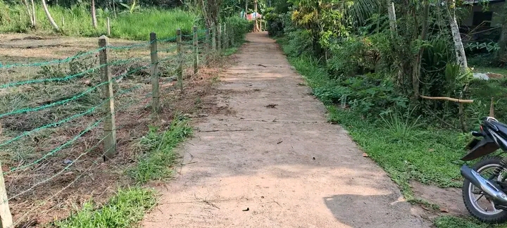 Residential Land for Sale in Veyangoda