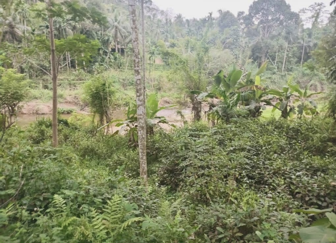 Agricultural Land for Sale in Dehiowita