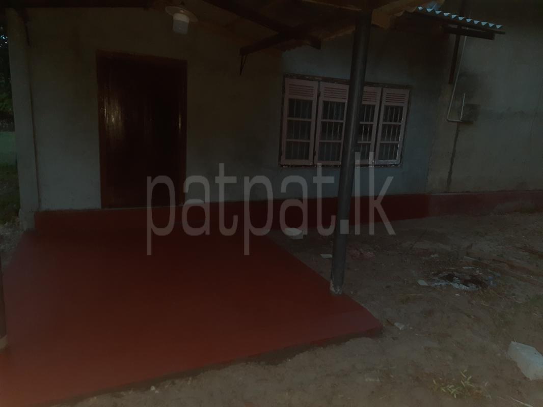 House for Sale in Chavakachcheri