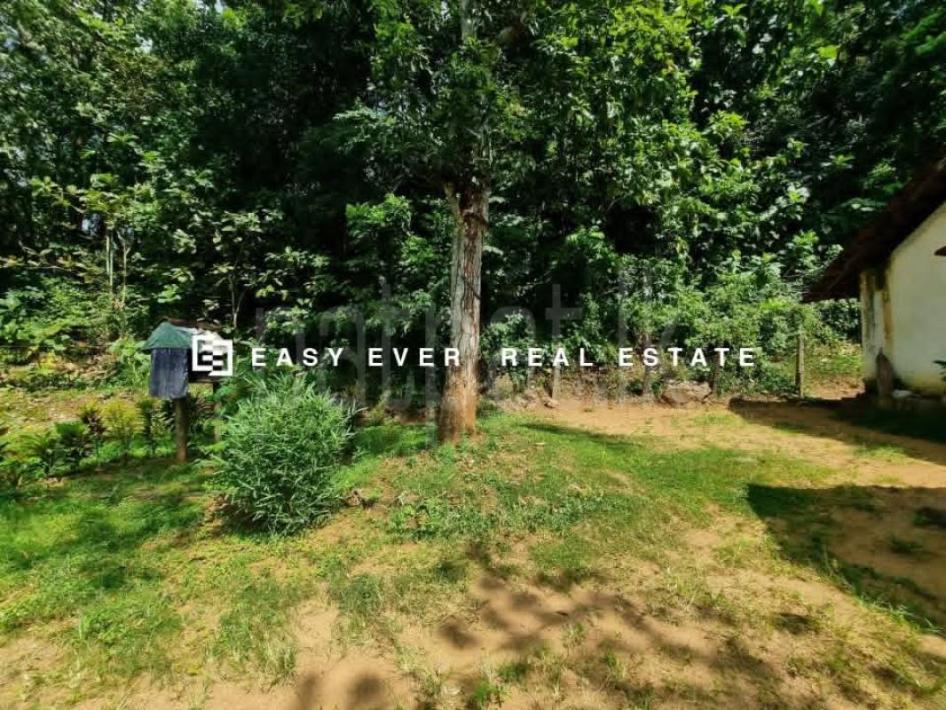 Residential Land for Sale in Mirigama