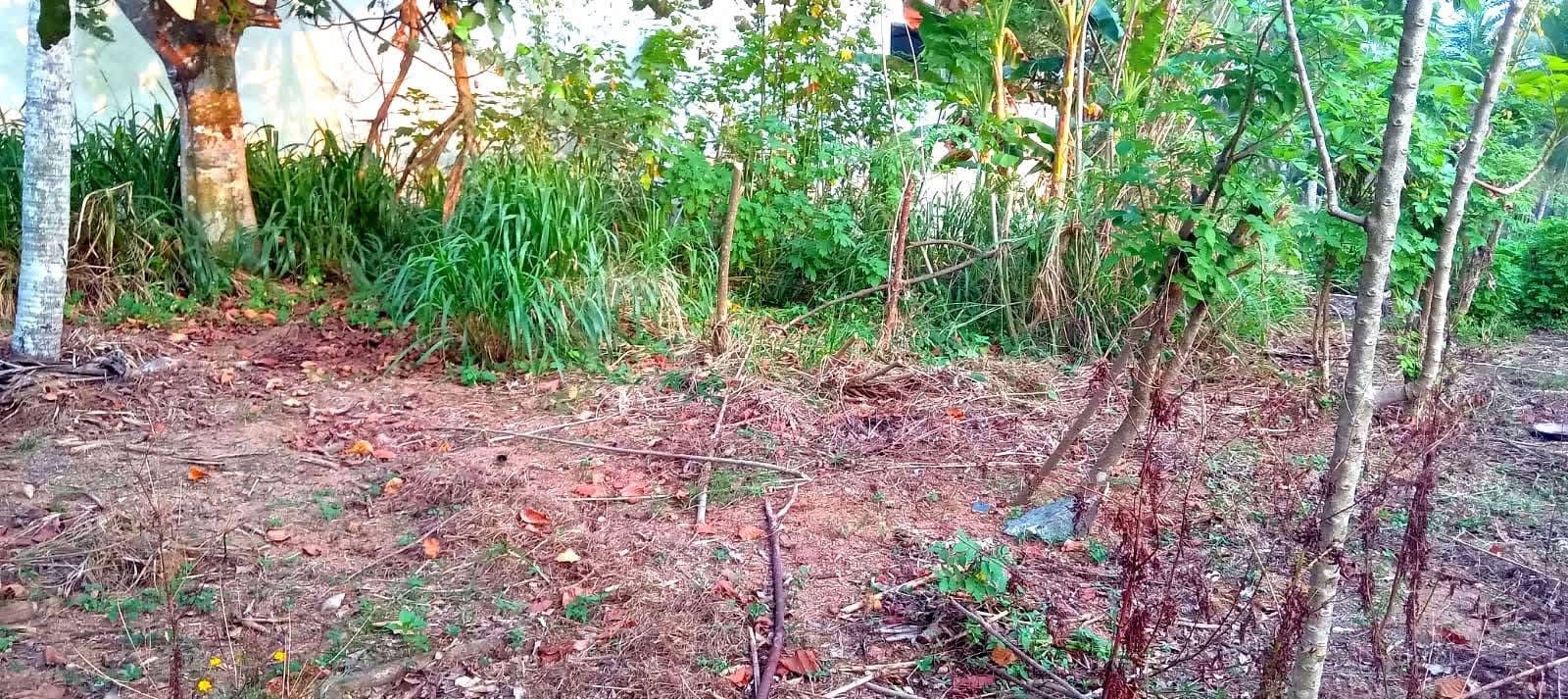 Residential Land for Sale in Athurugiriya