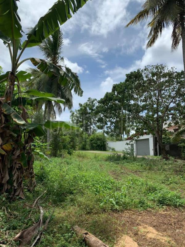 Commercial Land for Sale in Homagama