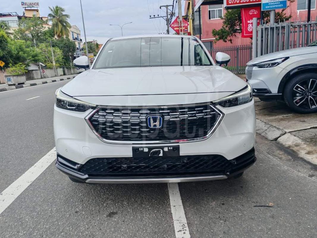 Advertisement image 6