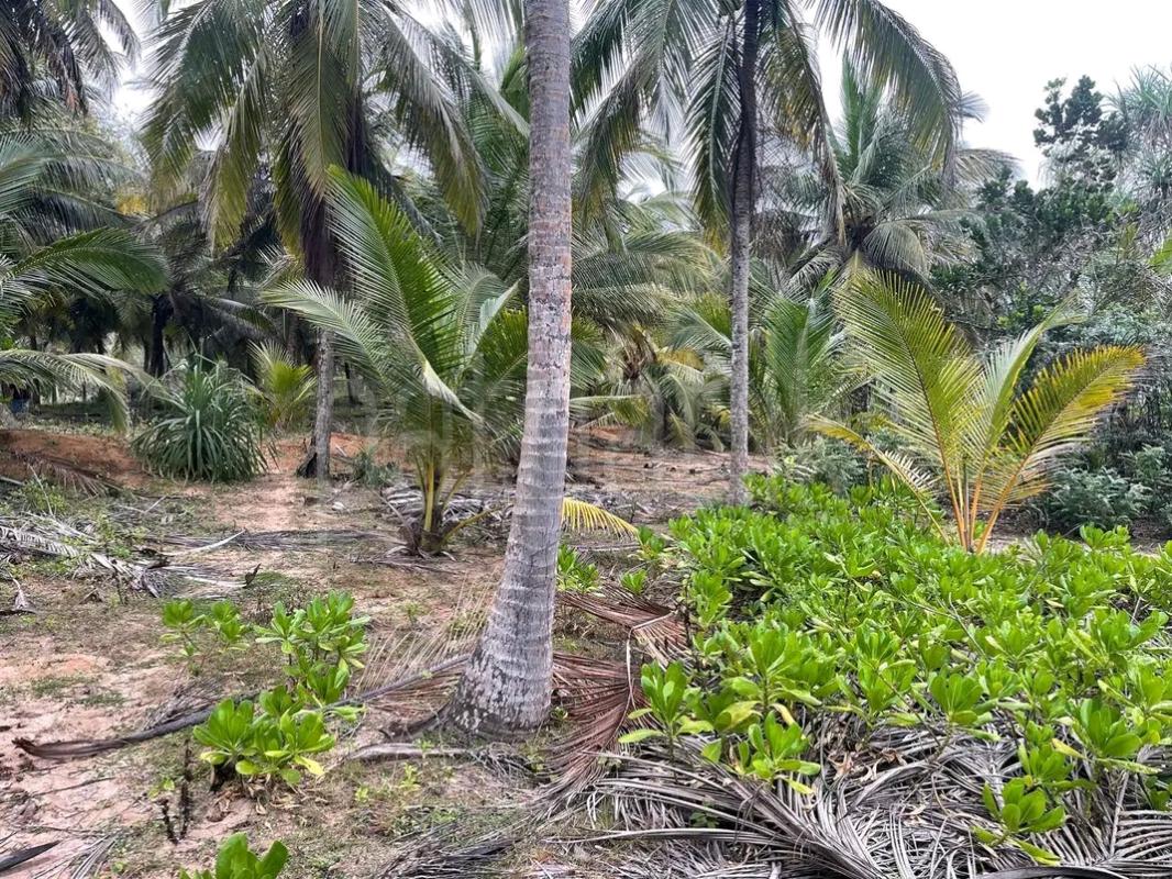 Residential Land for Sale in Chilaw