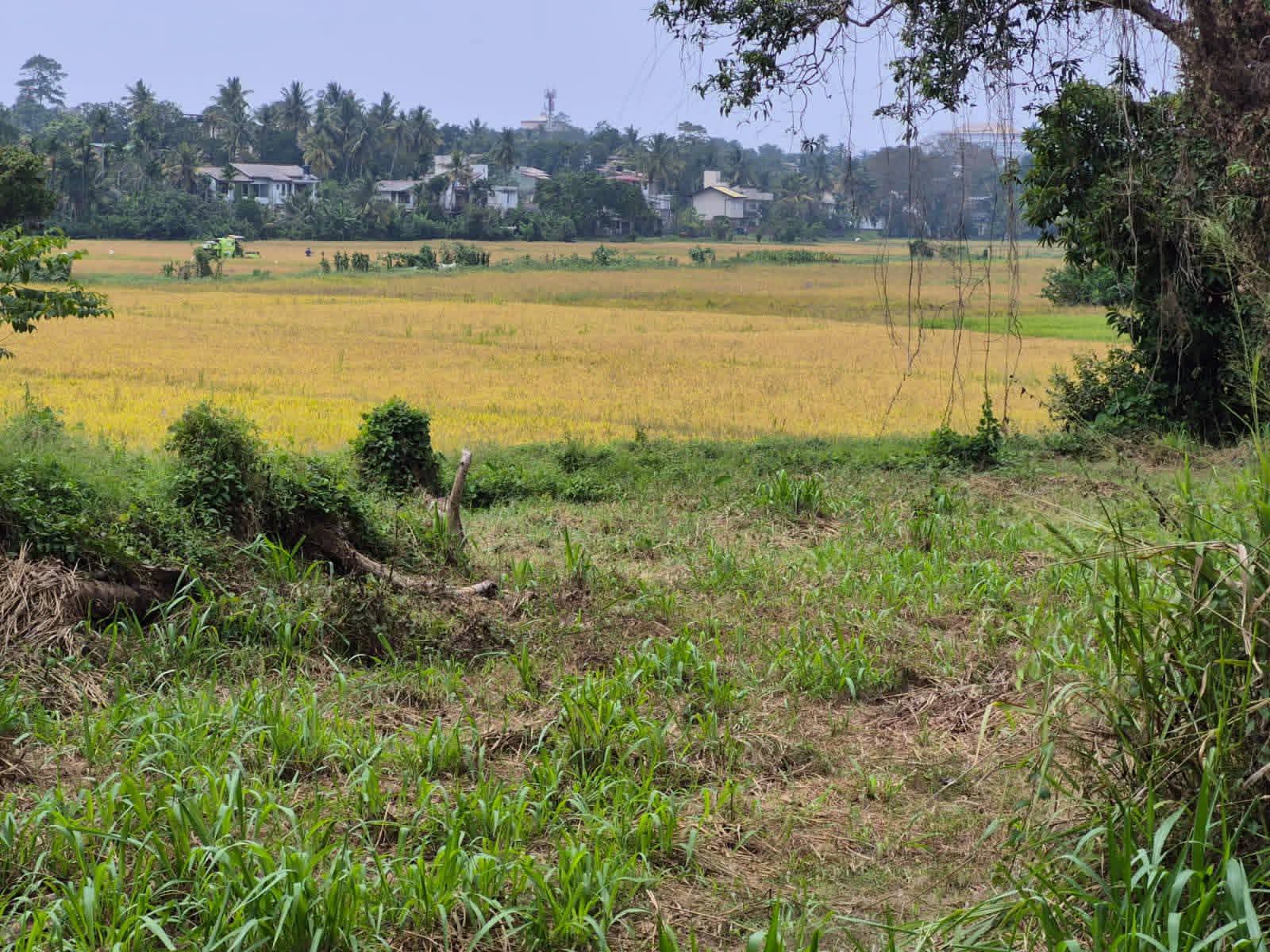 Commercial Land for Sale in Malabe ads-image-1