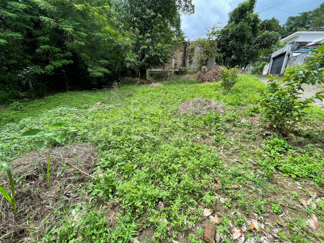 Residential Land for Sale in Walala